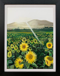 Field of Sunflowers in France