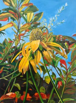 Limited Edition Print of  English Country Garden