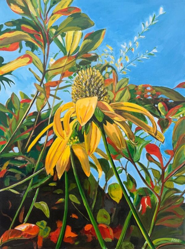 Limited Edition Print of  English Country Garden